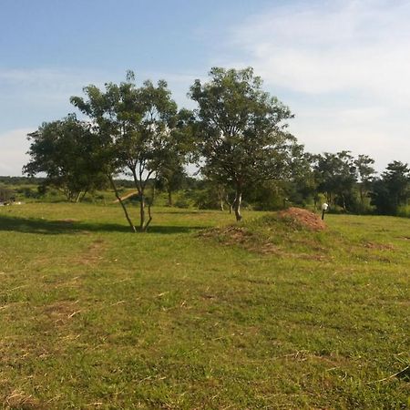Parkside Safari Lodge Pakwach Luaran gambar